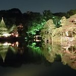六義園 心泉亭 - 紅葉と大名庭園が水面に映る幻想的なライトアップです