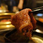 SATOブリアン - 2017/3_リブ芯