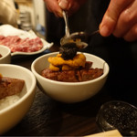 SATOブリアン - 2017/3_ブリ飯