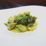 TACUBO - サザエと菜の花のオレキエッテ