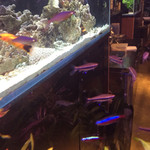 深海BAR THE DEEP - 