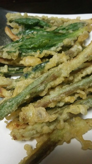 寿司炉端 亀ちゃん - 苫小牧（居酒屋）の写真