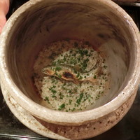 弧玖 - 
