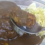 カレーハウスデリー - 揚げたて熱々！