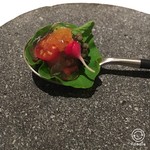 レストランエール - アミューズ１