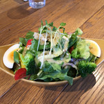 CAFE M - Lunch Salad