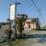 スギ - 