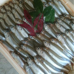 みょうが屋 - 生の状態のワカサギ様