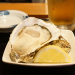 こい勢 - 殻付カキ