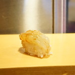 こい勢 - ガサエビ