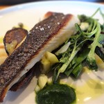 レ ファーブル ボンジュール - 相模湾産すずきのブランチャ