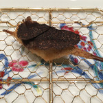 北新地　串かつ凡 - 