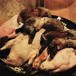 柳家 - お料理に使用された 新鮮な 佐嘉のコガモ。