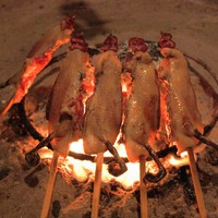 柳家 - 佐賀の小鴨：佐嘉から今朝、宅急便で届いたばかりの新鮮な コガモ です。