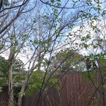 由布院 玉の湯 - 