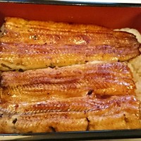 割烹 蒲焼 大沼 - 