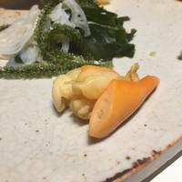 西麻布 拓 - 