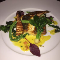Bar＆Lounge MAJESTIC - 