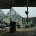 うな重一番 - 養殖場が現れる