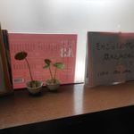 蕎麦切り屋 - 店内の風景　2017.4