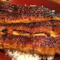 吉寅 - 