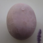 三陸菓匠 さいとう - かもめからのさくら便り