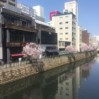 名古屋コーチン 堀江 - 