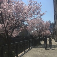 名古屋コーチン 堀江 - 