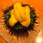 Sushi Doro Koiwai - 海胆。