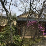 一心鮨 光洋 - このお花綺麗だなぁ