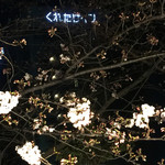 ○家 - 夜桜
