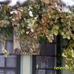 ふしぎのくにのアリス - お店の外も仕掛けあり（笑）