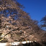 ル・ジャルダン - 東宝スタジオライトアップ