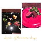 ブラチョレリアルポ - 