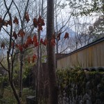 由布院 玉の湯 - 