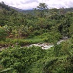 TROPICANA RIVERSIDE RESTAURANT - じゃしゃじゃんぐる〜