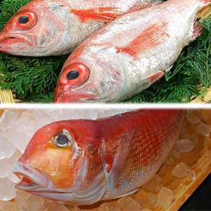 地魚・活魚・炉端焼き 魚次郎 - 苫小牧（居酒屋）の写真