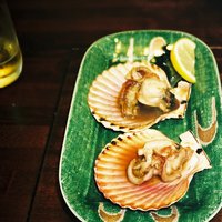 土佐料理 司 高知本店 - 