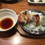 Teke Teke - 170330鉄板鶏餃子480円