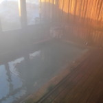 新野地温泉 相模屋旅館 - 朝日が当たった内湯