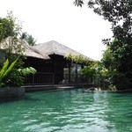 HOSHINOYA - 星のやバリのセンタープールで、朝から泳ぎました