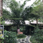 Segara Windhu Coffee Plantation - Segara Windhu Agro