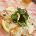 オペラ - たこカルパ