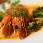 オペラ - エスニッカー♪