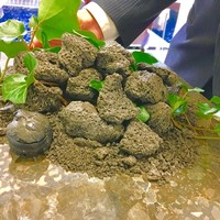クイントカント - 