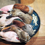 柳家 - 緋鳥鴨、葦鴨のオスメス、網取りの鴨ちゃんたち