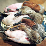 柳家 - 緋鳥鴨、葦鴨のオスメス、網取りの鴨ちゃんたち