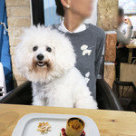 AU GAMIN DE TOKIO table - コースのドルチェ