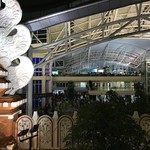 DFS - デンパサール空港に夜9時半に到着です