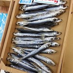 松原海産物店 - コレ旨いですよ